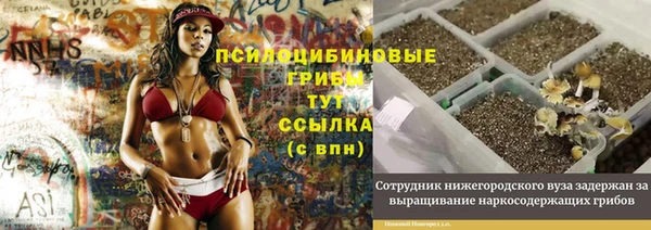 эйфоретик Абаза