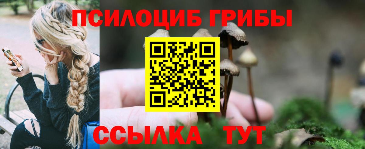 Абинск  как найти   Вход с VPN  Псилоцибиновые грибы мухоморы  Галлюциногенные грибы Psilocybine cubensis 